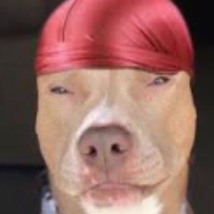 Meet your Posher, Armani